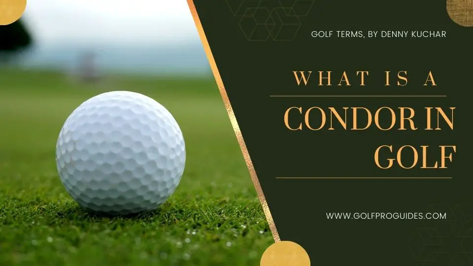 What is a Condor in Golf